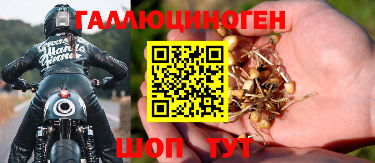 где купить наркоту  Псилоцибиновые грибы MAGIC MUSHROOMS  Вход с VPN  Павлово 